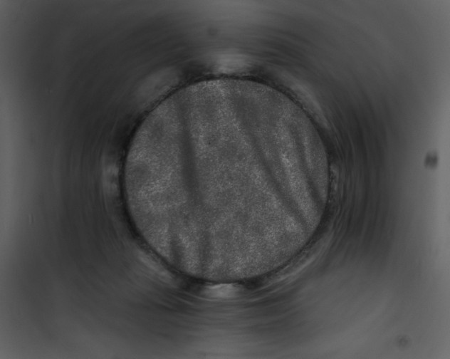 X0000100840269200807180927