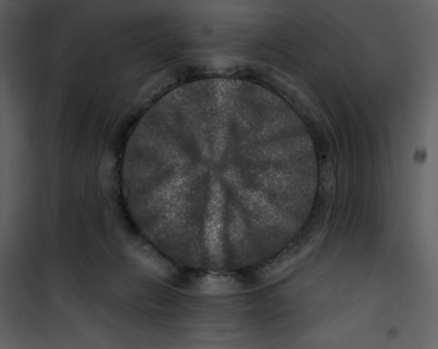 X0000100840270200807180927