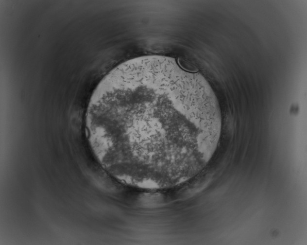 X0000100840271200807180927
