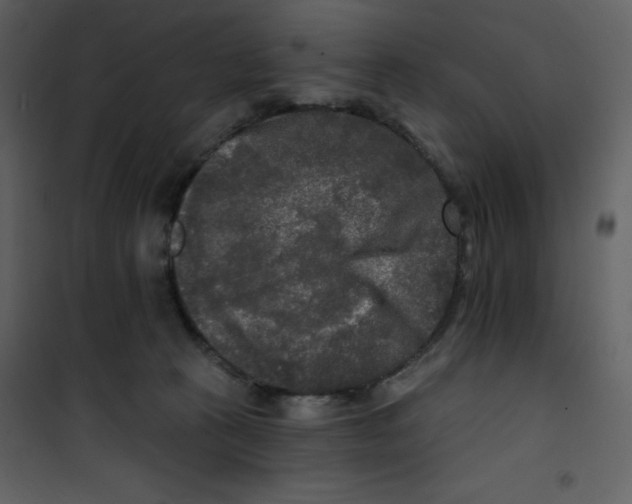 X0000100840273200807180927