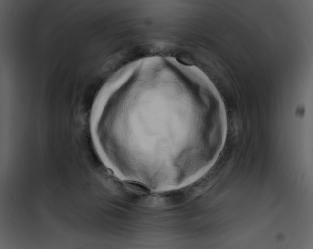 X0000100840276200807180927