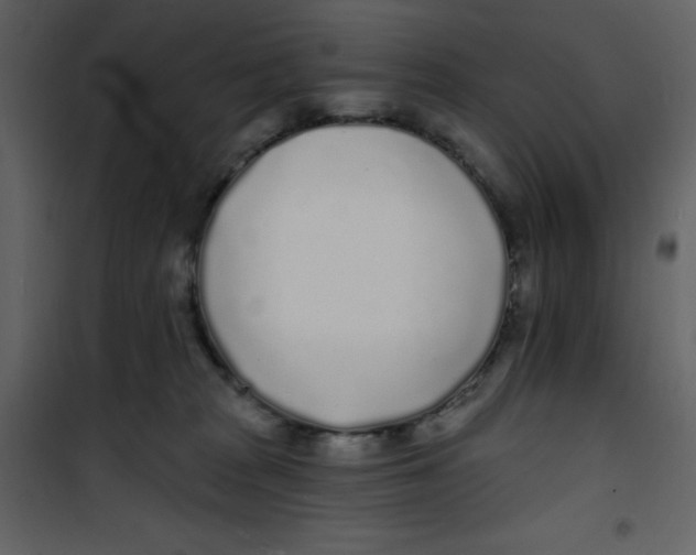 X0000100840277200807180927