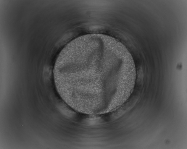 X0000100840278200807180927