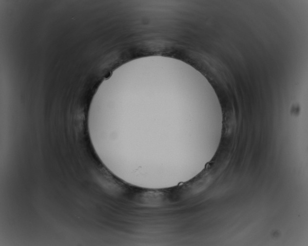 X0000100840279200807180927