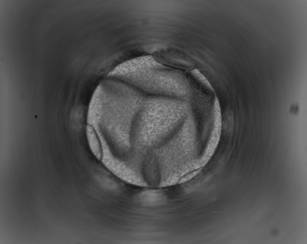 X0000100840280200807180927