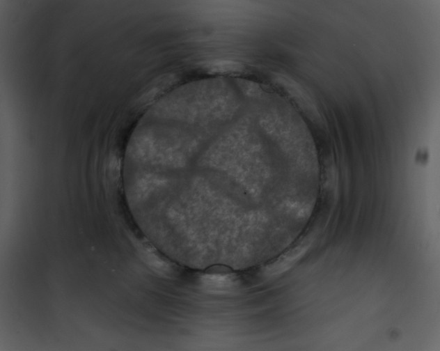 X0000100840281200807180927