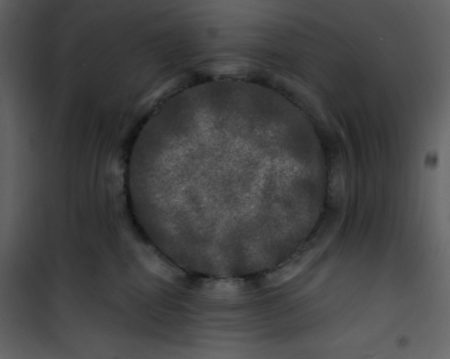 X0000100840282200807180927