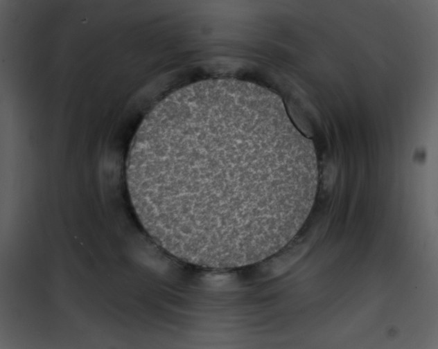 X0000100840283200807180927