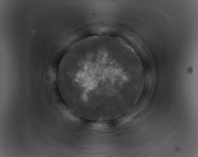 X0000100840284200807180927