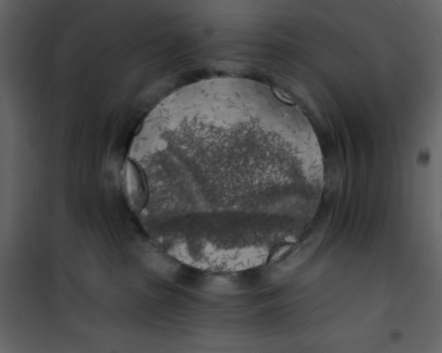 X0000100840285200807180927