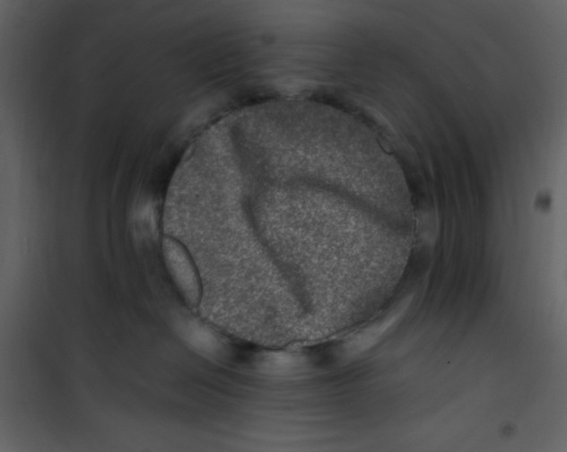 X0000100840286200807180927