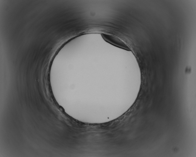 X0000100840289200807180927