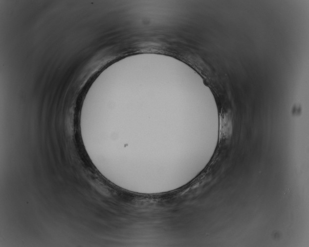 X0000100840291200807180927