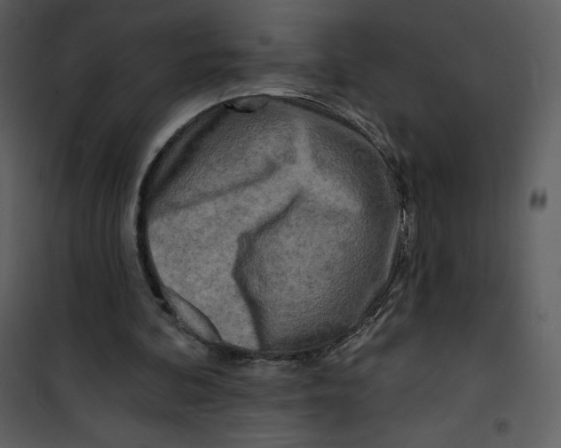 X0000100840292200807180927