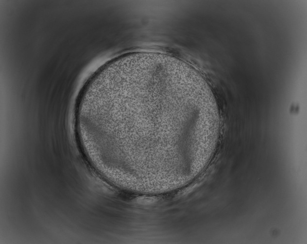 X0000100840294200807180927