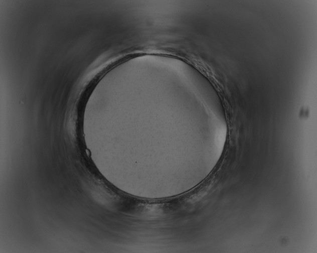 X0000100840295200807180927