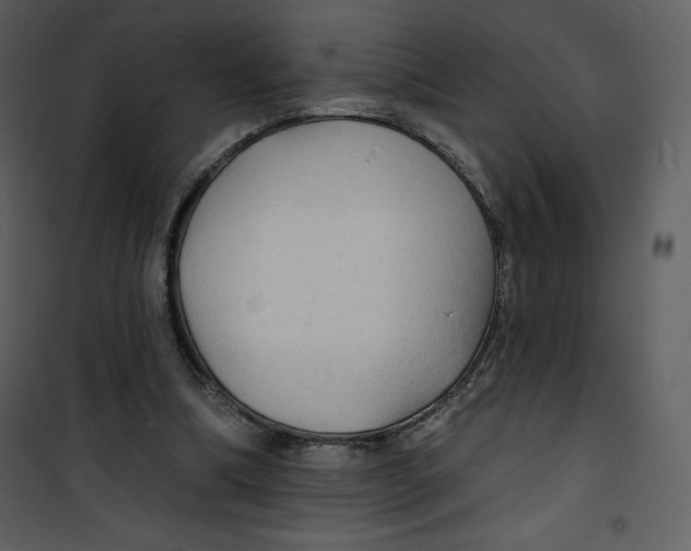 X0000100840298200807180927