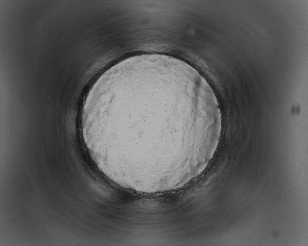 X0000100840299200807180927