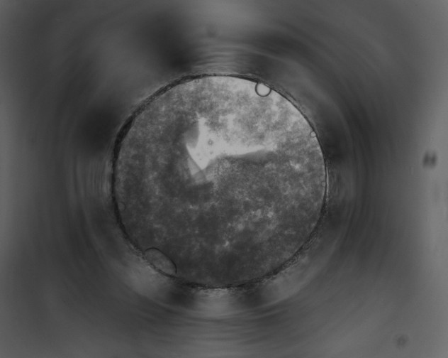 X0000100840301200807180926