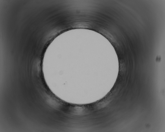 X0000100840302200807180926