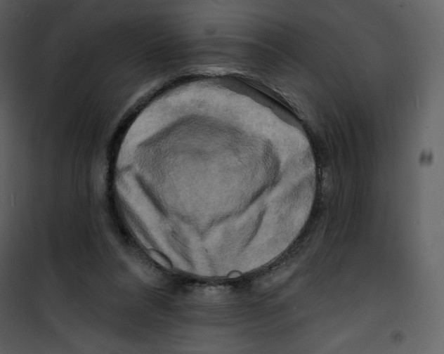 X0000100840304200807180926