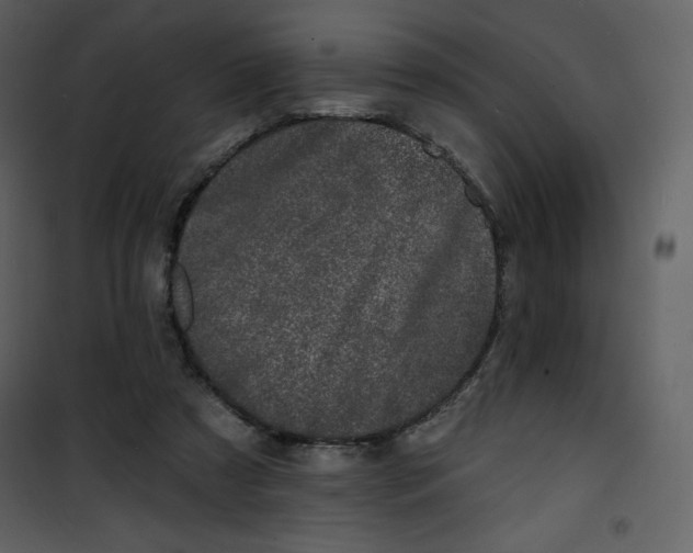 X0000100840305200807180926