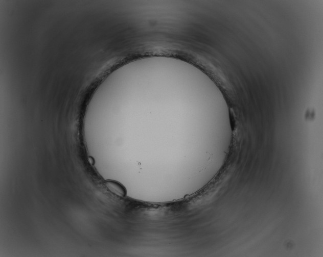 X0000100840306200807180926