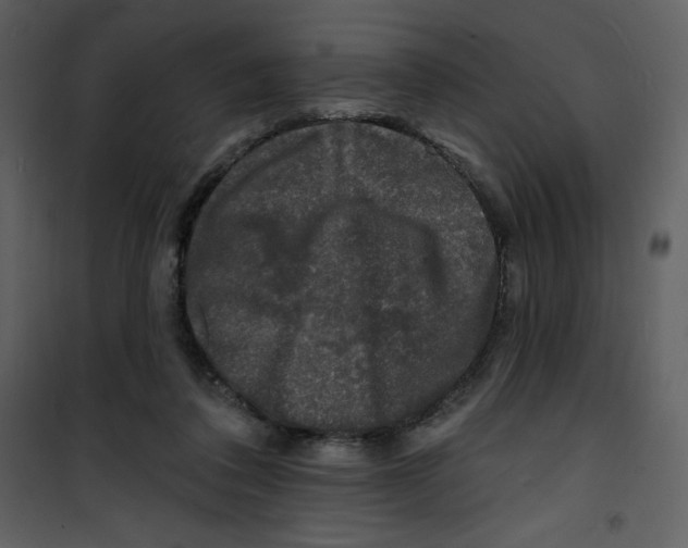 X0000100840308200807180926