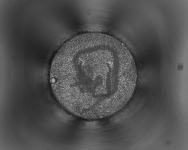 X0000100840309200807180926