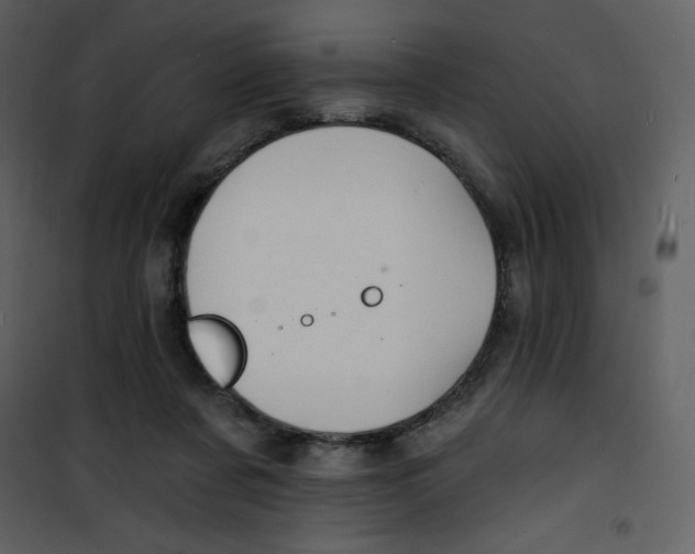 X0000100840311200807180926