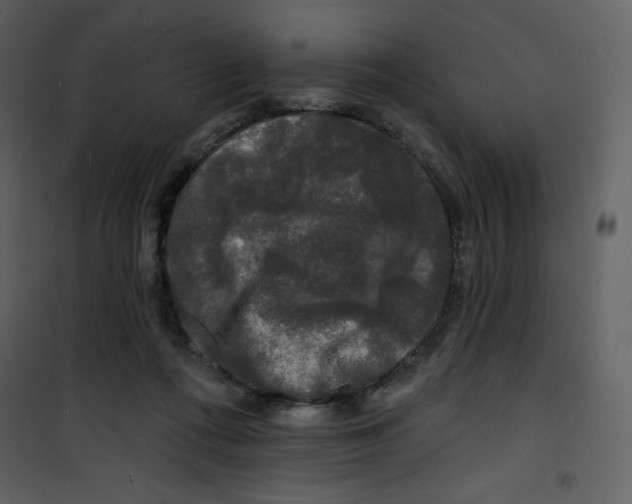 X0000100840312200807180926