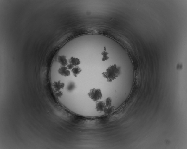X0000100840314200807180926