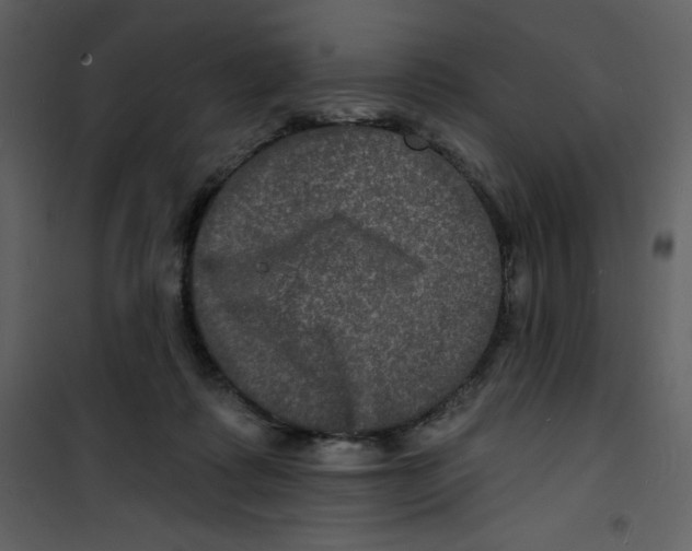 X0000100840315200807180926