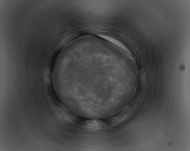 X0000100840316200807180926