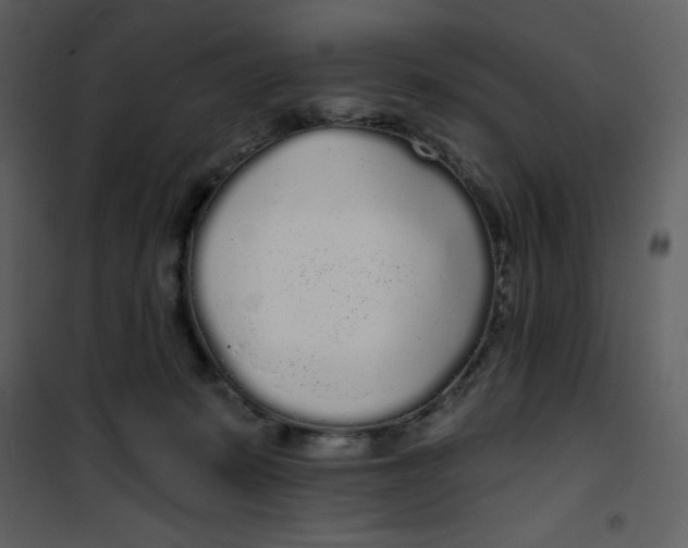 X0000100840319200807180926