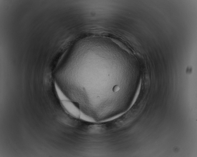 X0000100840320200807180926