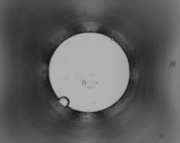 X0000100840321200807180926