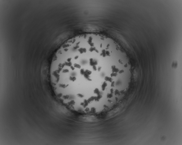 X0000100840322200807180926