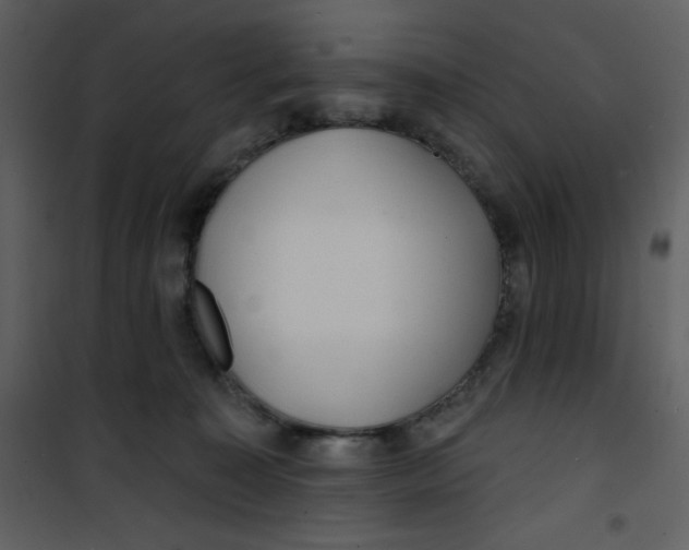 X0000100840323200807180926