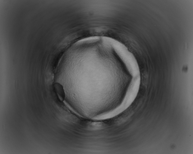 X0000100840324200807180926