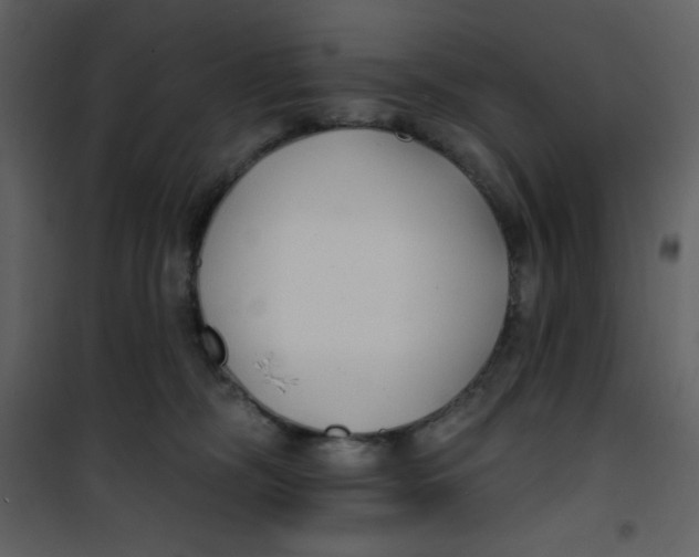 X0000100840326200807180926