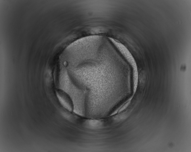 X0000100840327200807180926