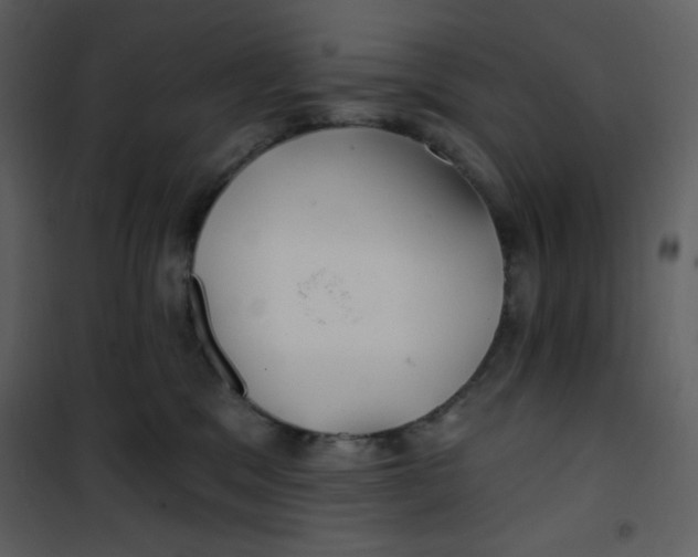 X0000100840329200807180926