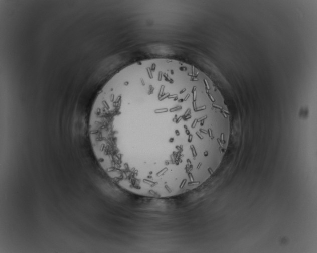 X0000100840330200807180926