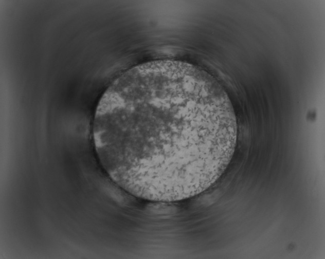 X0000100840331200807180926