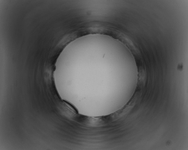 X0000100840333200807180926