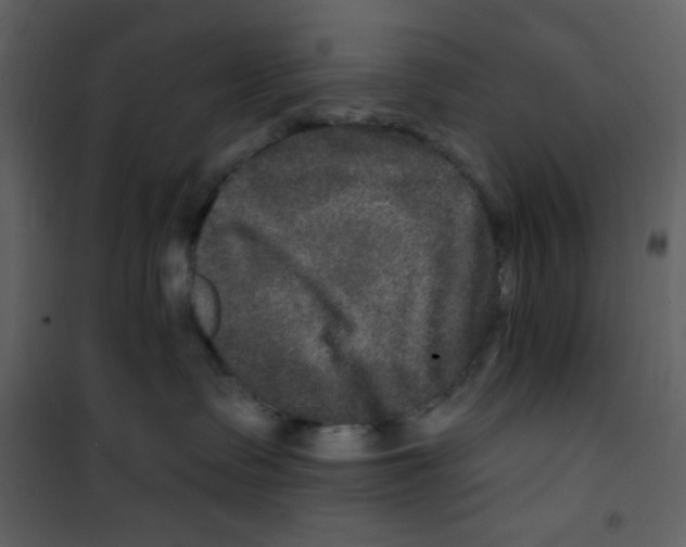 X0000100840335200807180926