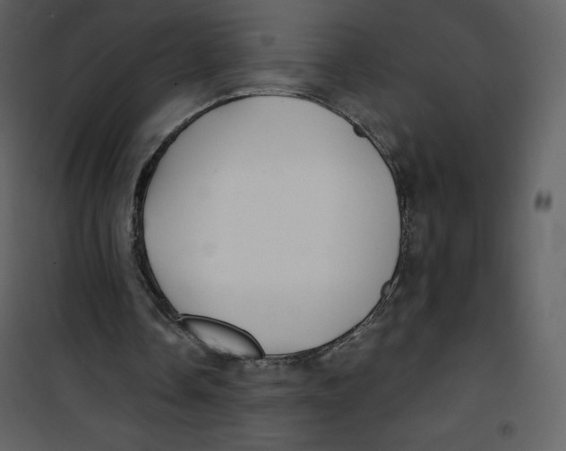 X0000100840338200807180925