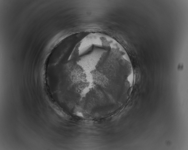 X0000100840339200807180925