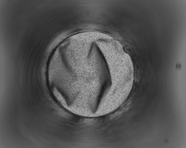 X0000100840341200807180925